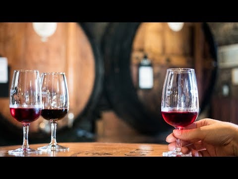 Port Tasting In Porto Portugal VLOG