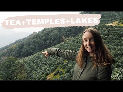 HANGZHOU CHINA | Tea Plantations, Lingyin Temple, West Lake and more INCREDIBLE things to do!