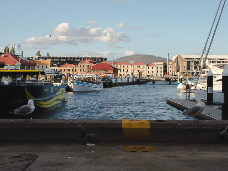 Things to do with a toddler in Hobart, Tasmania